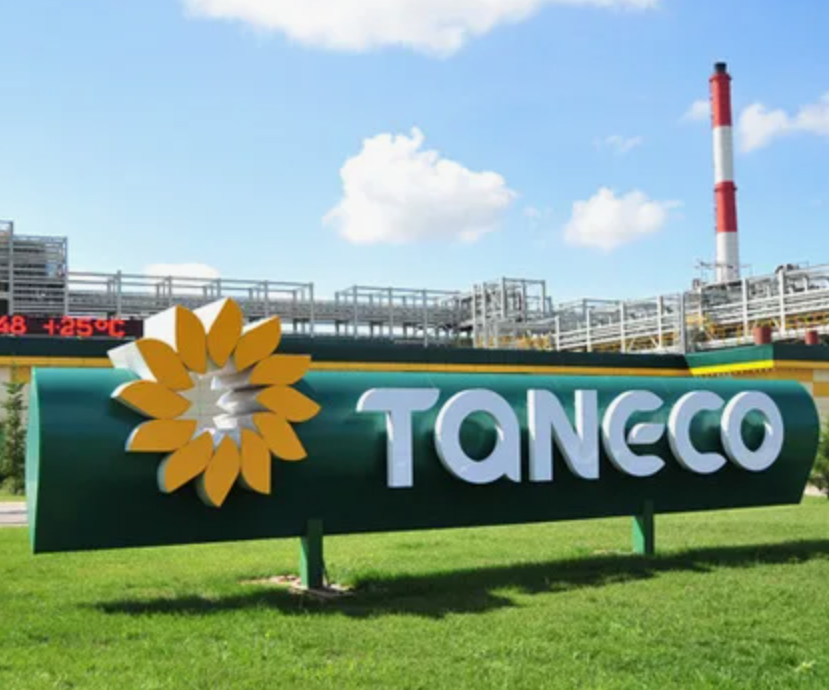 Project implementation 2025