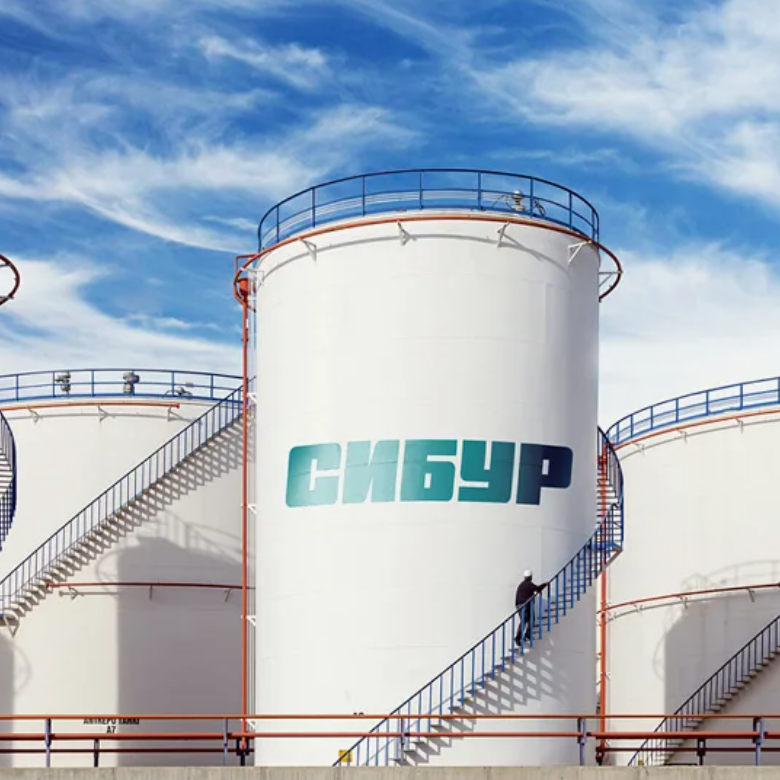 Project implementation 2025