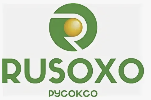 为 RUSOXO LLC 供应 ASME SB-163 管道